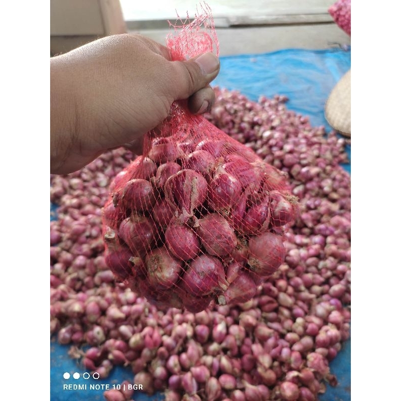 

bawang merah super