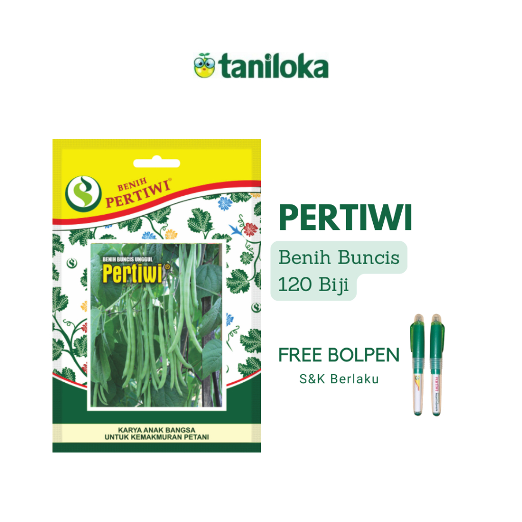 Benih Pertiwi - Benih Buncis Pertiwi (120 Biji)