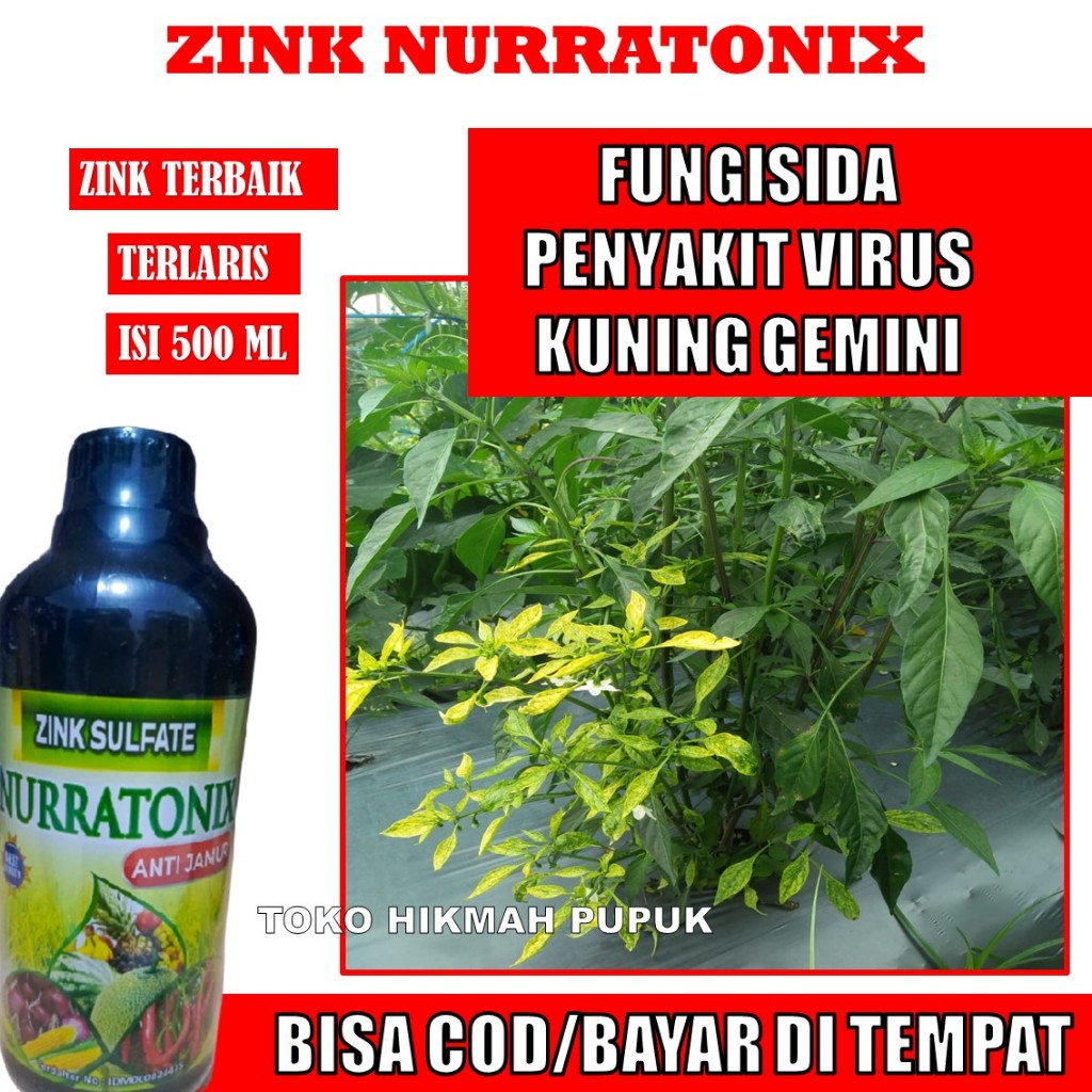 (FUNGISIDA VIRUS KUNING GEMINI) 500 ML ZINK OBAT VIRUS KUNING GEMINI CABE, TOMAT, TERONG, KACANG PAN