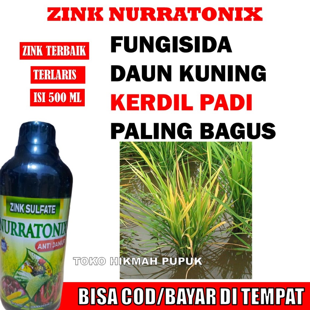 (REKOMENDED) PATEK FUNGISIDA HAYATI Obat Semprot Padi Memperbaiki Pertumbuhan Tanaman Padi Hasil Pan