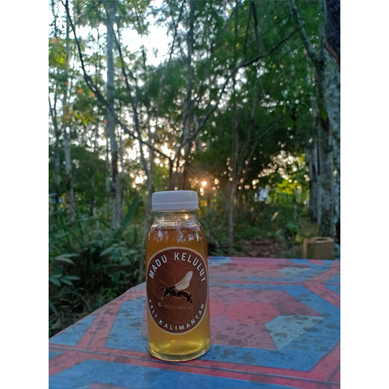 

Madu kelulut/ Madu kelanceng Asli