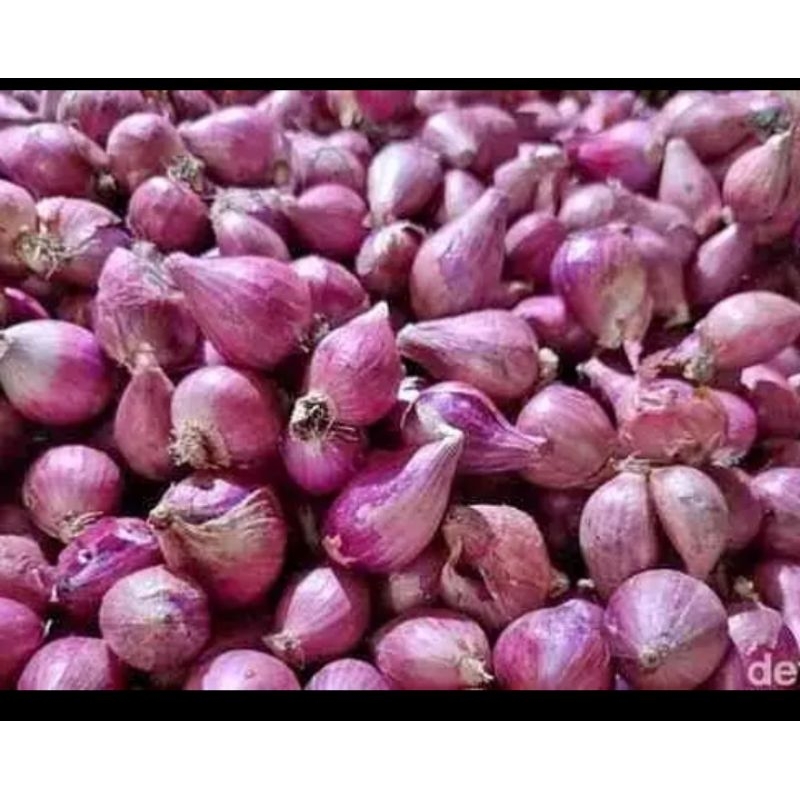 

bawang Brebes ukuran sedang 1 kg