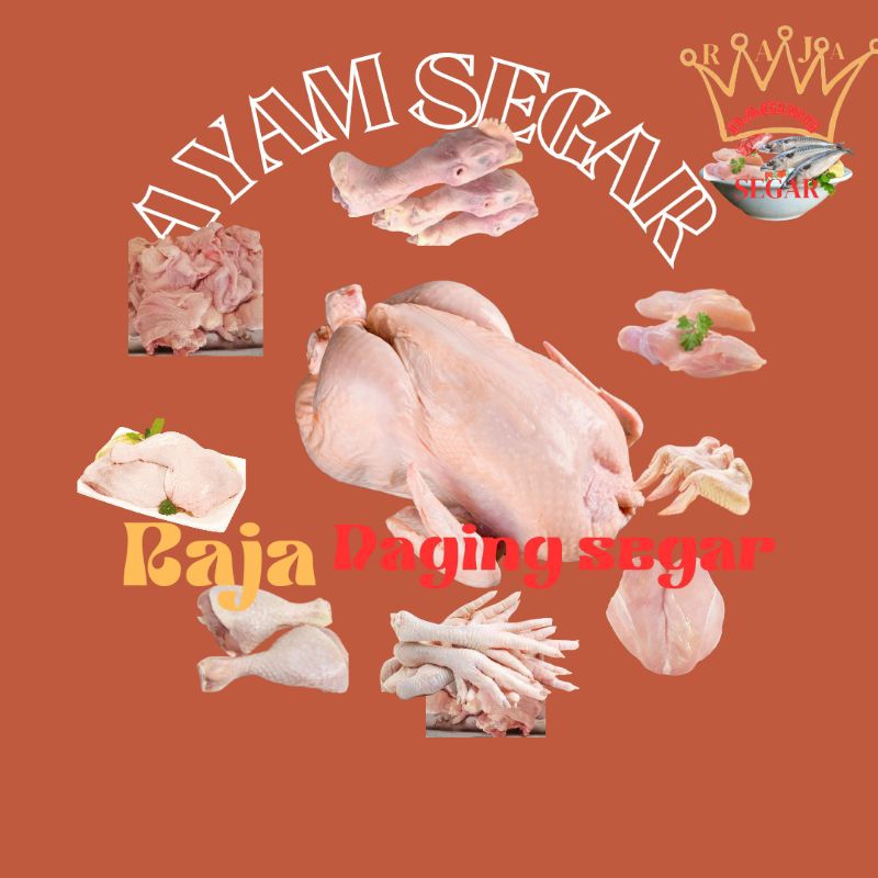 

DAGING AYAM SEGAR,AYAM SEHAT DAN AYAM HIGEINIS