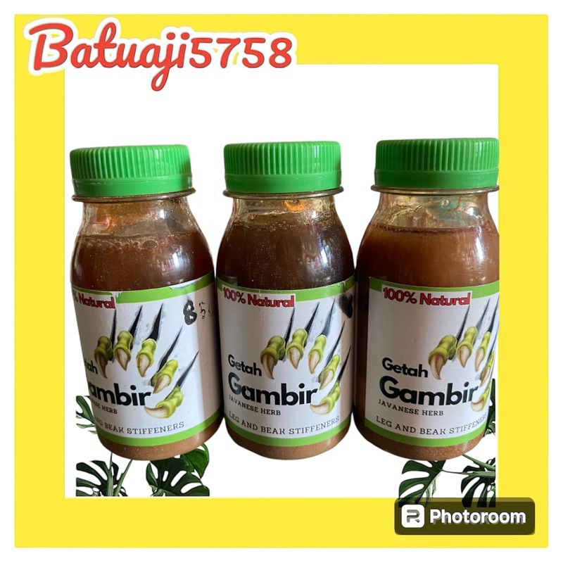 Getah Gambir Ayam Aduan