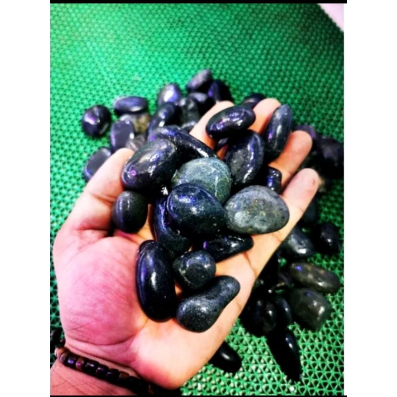 Batu Coral Hitam 1kg/Baru Sikat Hitam/Batu Coral Sikat Hitam aquascape