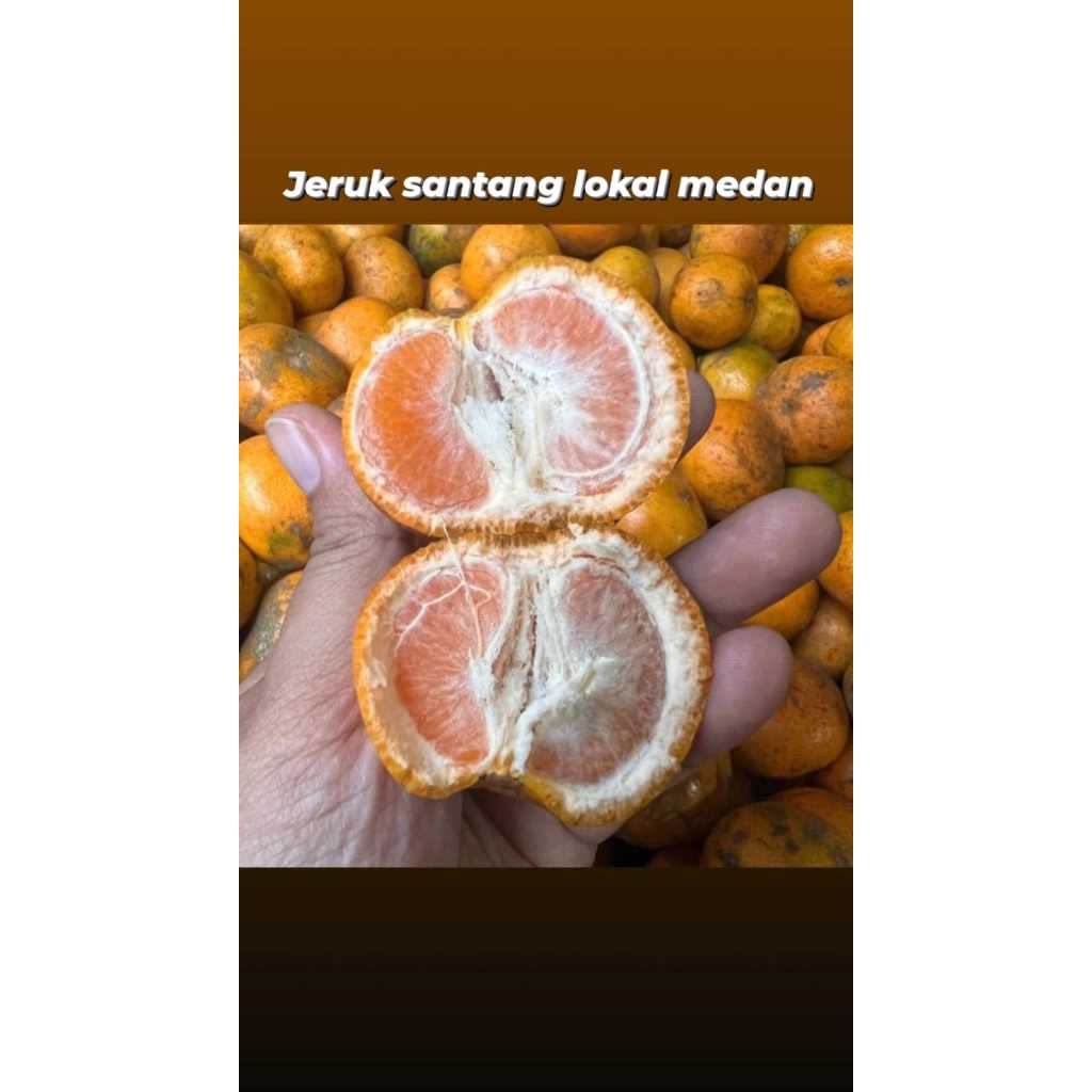 

jeruk santang medan | manis, 500gr-1kg