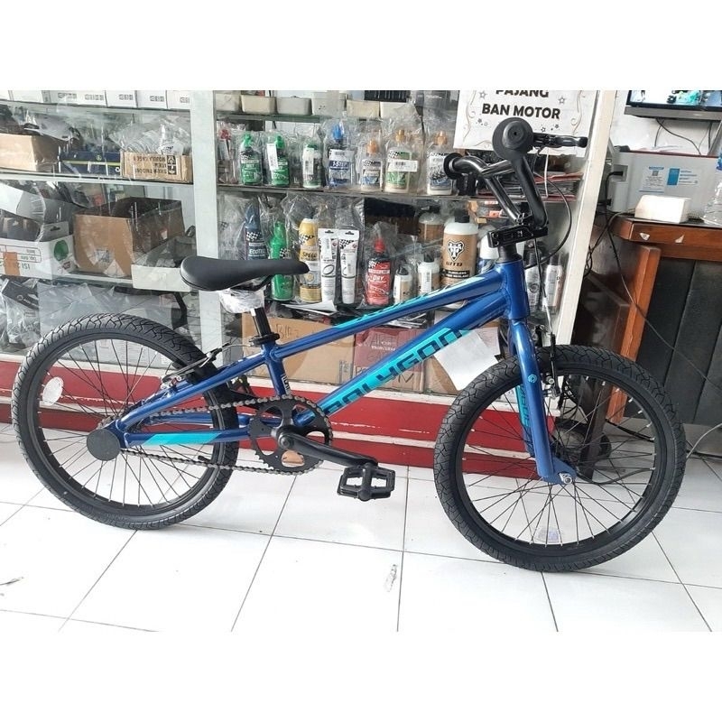 Sepeda Anak BMX Polygon Rogue 20inch