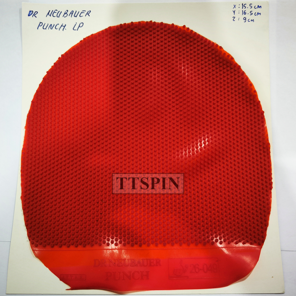 Dr NEUBAUER Punch - Karet Pingpong Tenis Meja Bet Bat Bintik Panjang Bintik Bertahan OX Tanpa Spon L