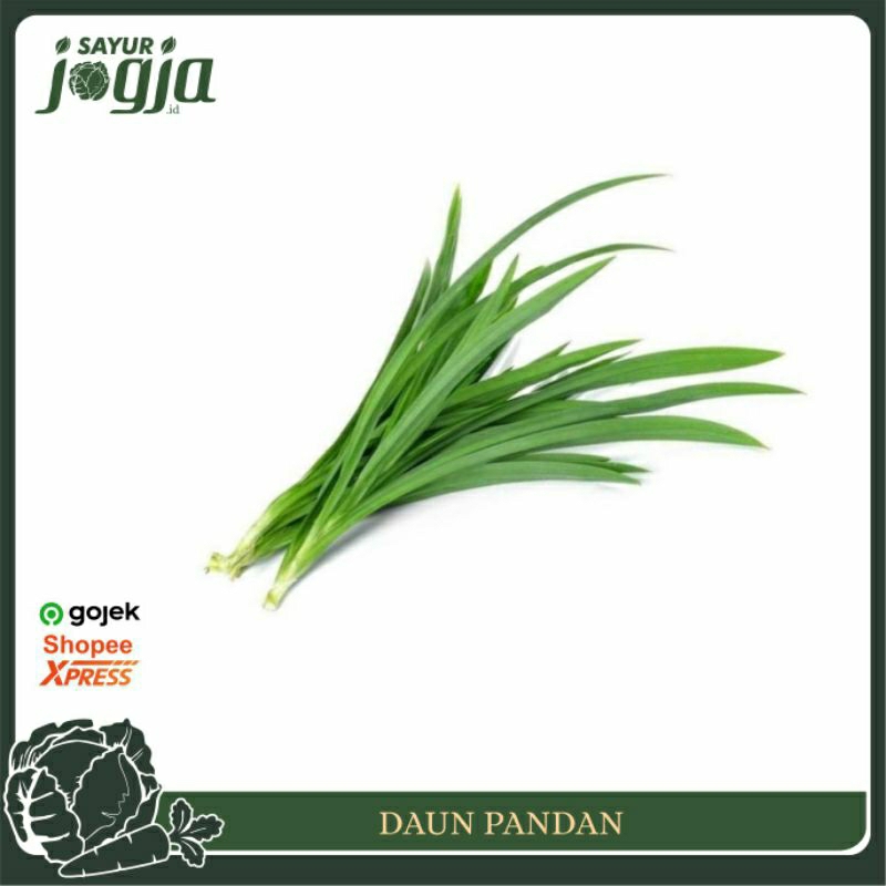 

Daun Pandan per Ikat