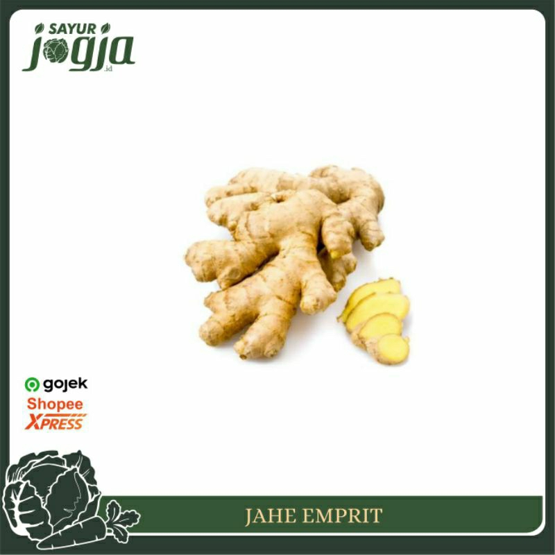 

Rempah Jahe Emprit 50gr