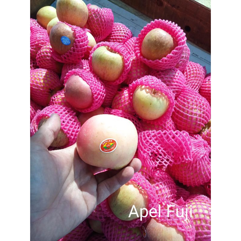 

Apel fuji / Kg