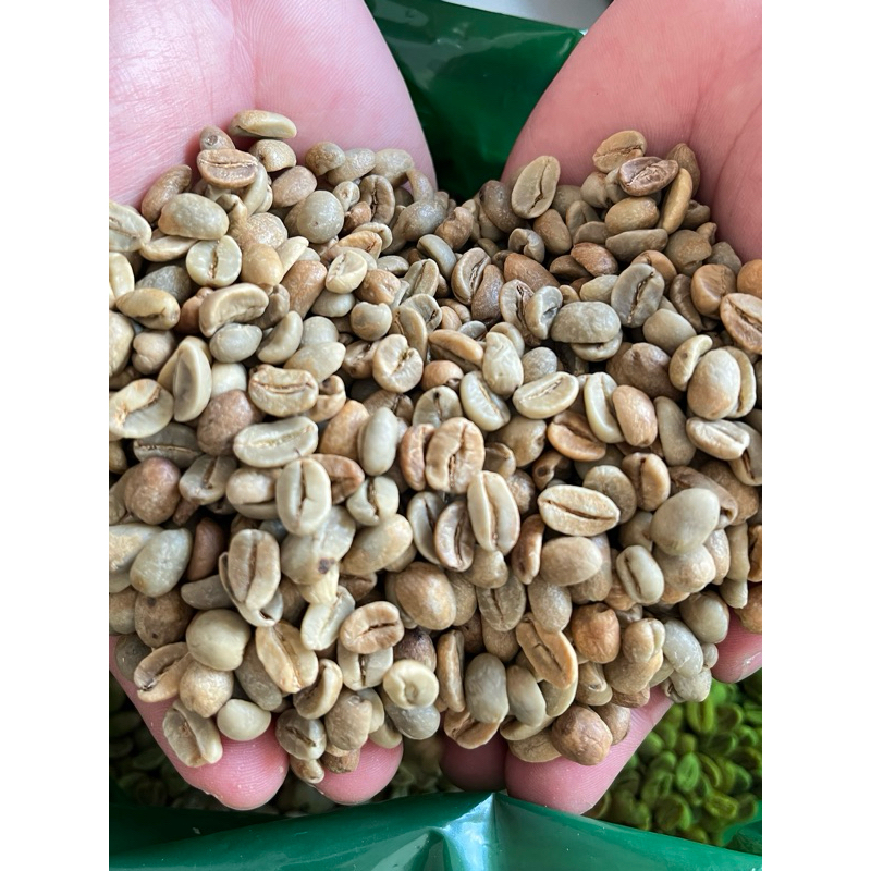 

Green Bean Arabica Natural Grade 1 /Kg | Single Origin Sipirok, Sumatra Utara