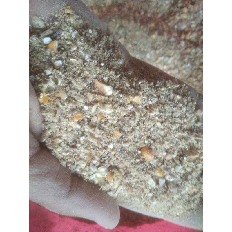 pakan jadi ayam petelur kemasan 1 kg