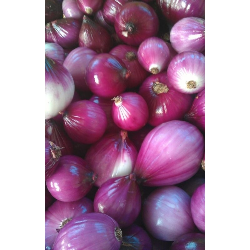 

BAWANG MERAH KUPAS 500GRAM