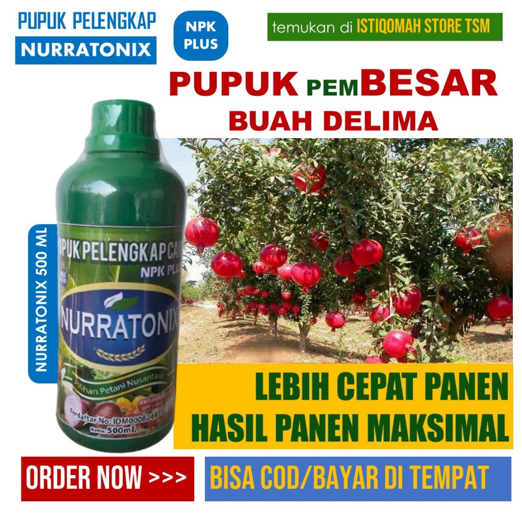 PUPUK AJAIB Pelebat Buah Delima Terbaik 500 ML POC BMW - Pupuk Perangsang Buah Delima Lebat Manjur, 