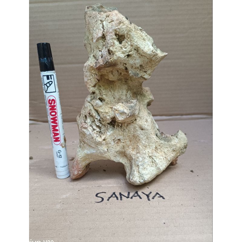 batu gunung untuk bonsai, aquascape, reptil