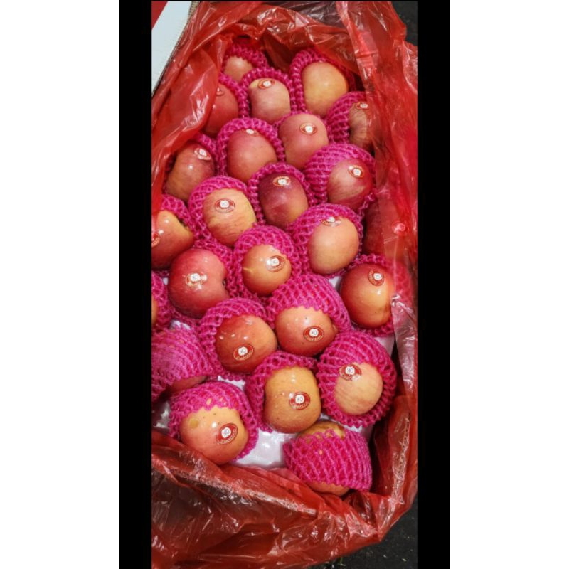 

*Apel fuji super promo 1kg ready kwintalan*
