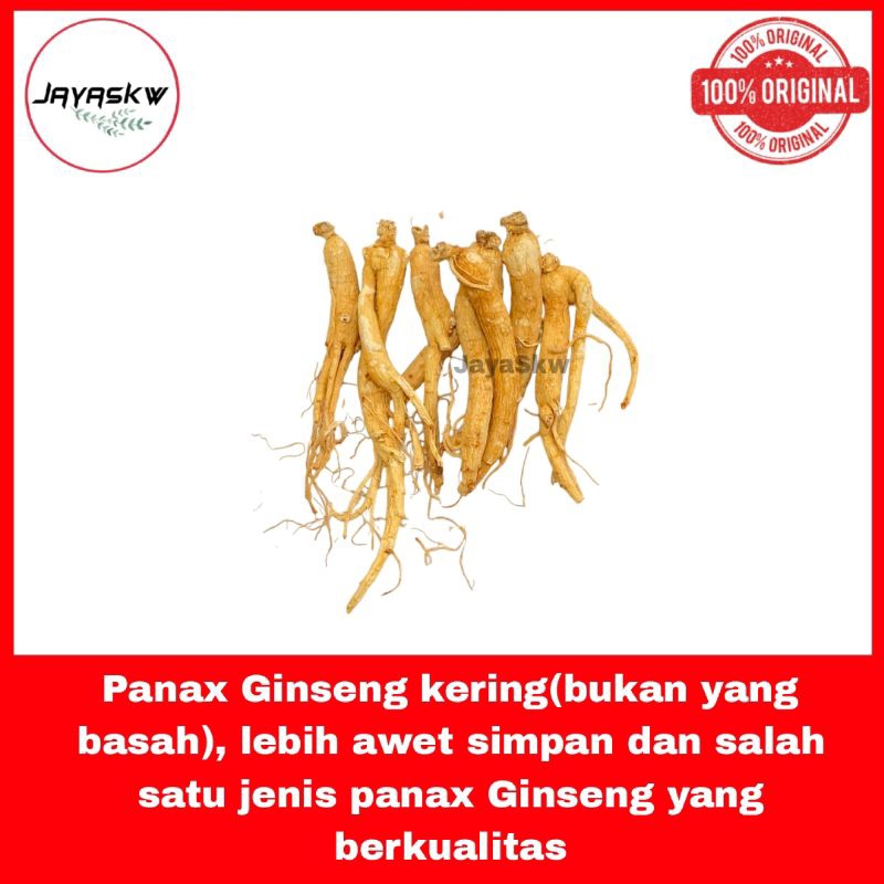 

Panax ginseng 100gram (kering awet)