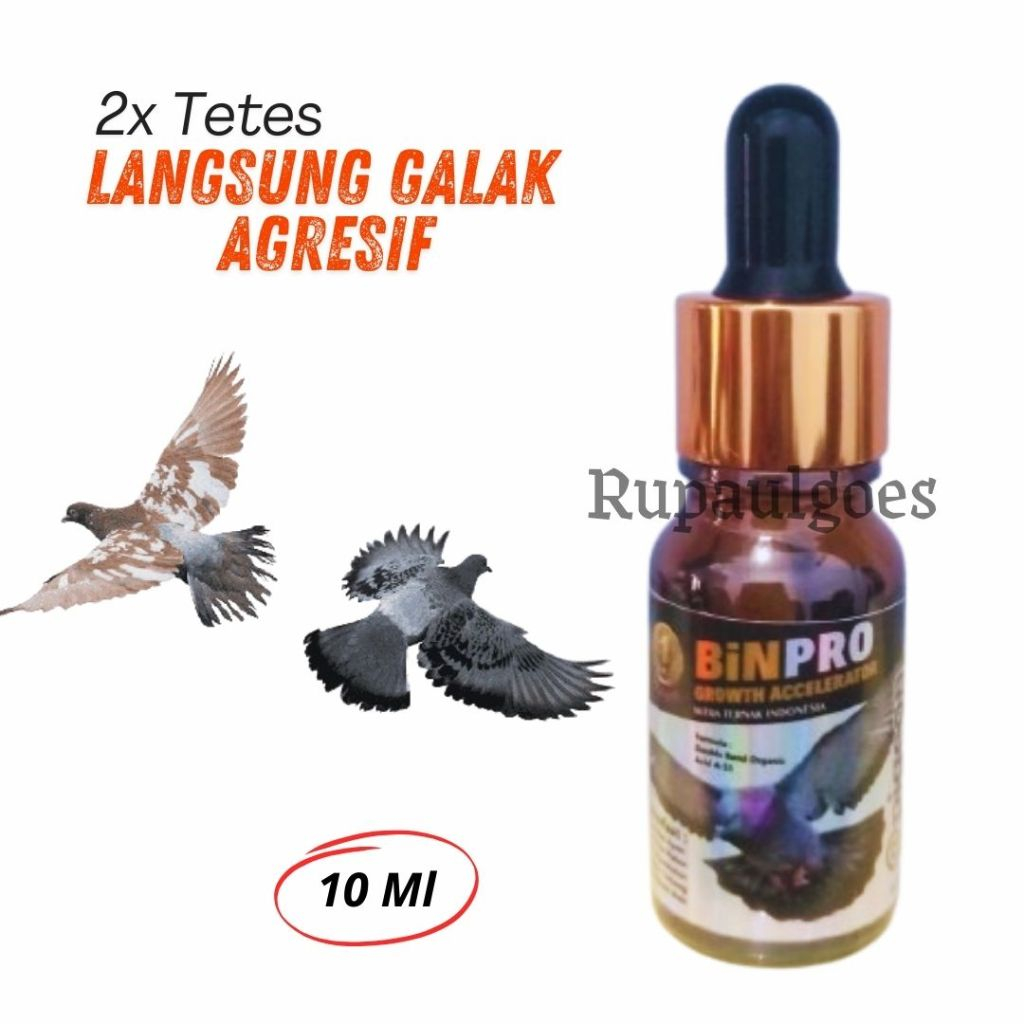 Binpro Vitamin Doping Jamu Burung Merpati Dara Lomba Kolongan Obat Giring Keket Keras Siap Menang