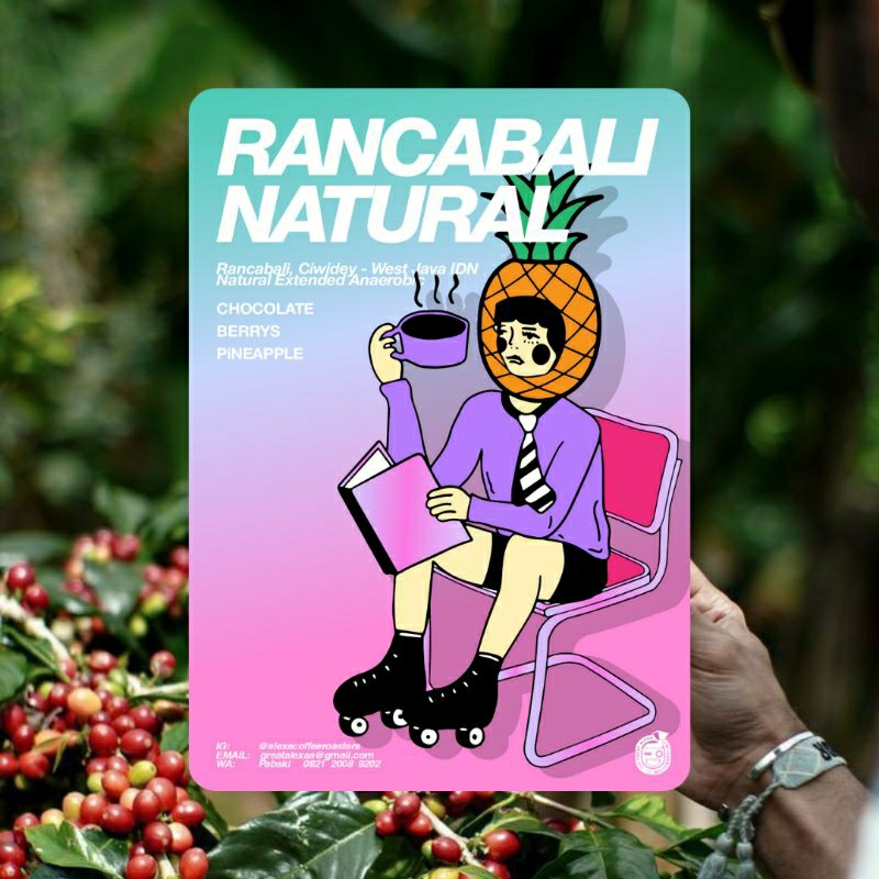 

Rancabali Natural - Single Origin Arabica Natural Anaerobic Filter 200gr Rancabali - West Java