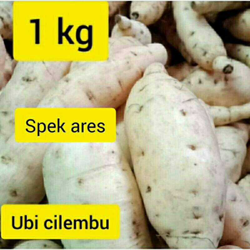 

ubi cilembu madu asli ubi jalar asli murah 1.kg