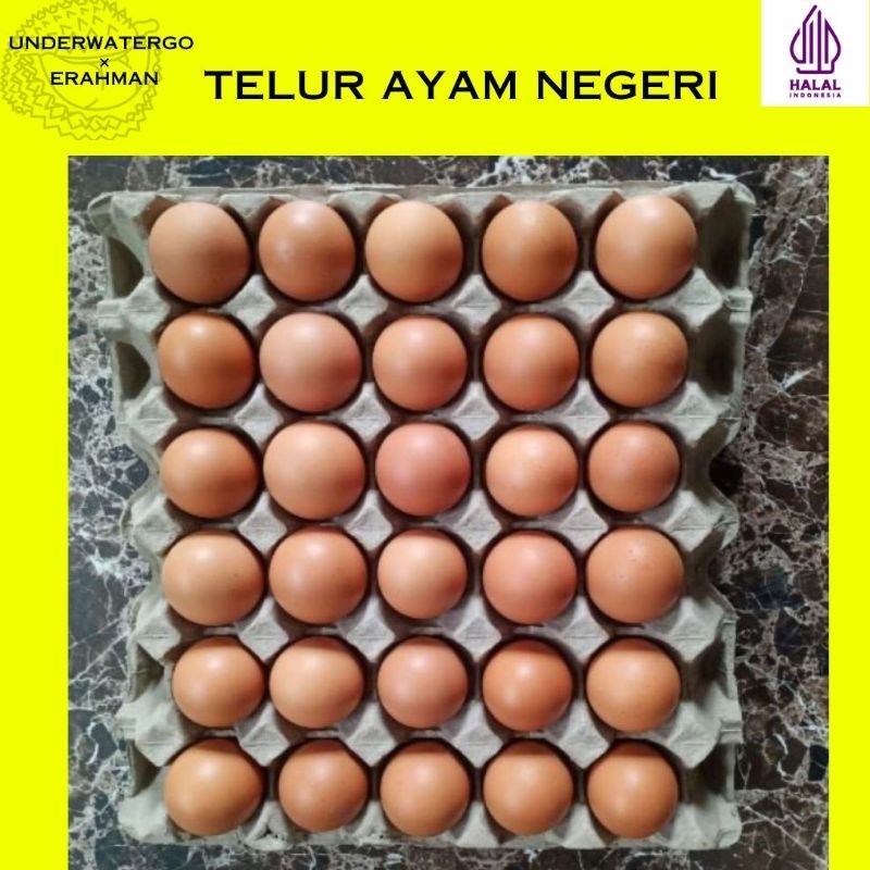 

TELUR AYAM NEGERI PREMIUM 1KG ISI 17 BUTIR TERMURAH