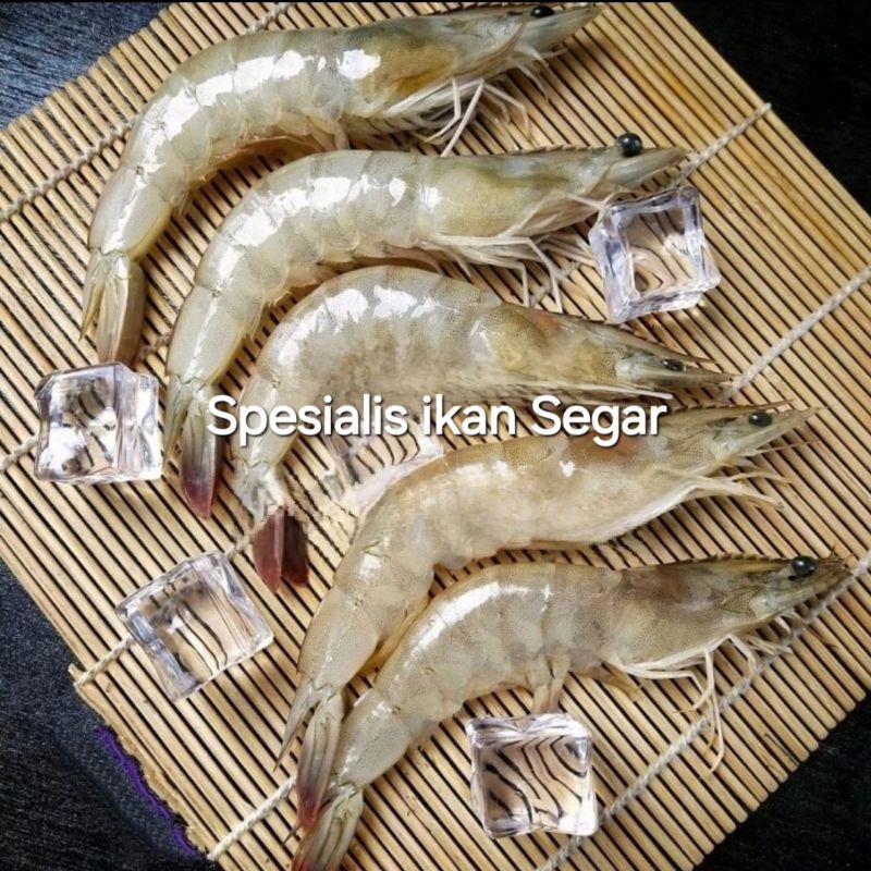 

Udang Vaname Fresh Segar - 1 Kilogram