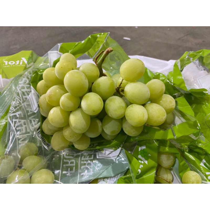 

Anggur autumn hijau import