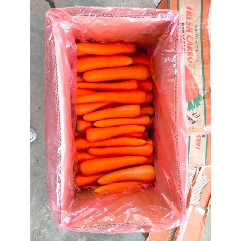 

Wortel manis berastagi 1dus 10kg