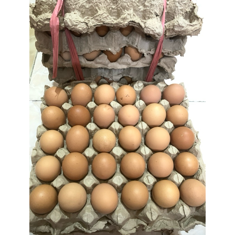 

[INSTAN BANJARMASIN] TELUR AYAM 1 KG