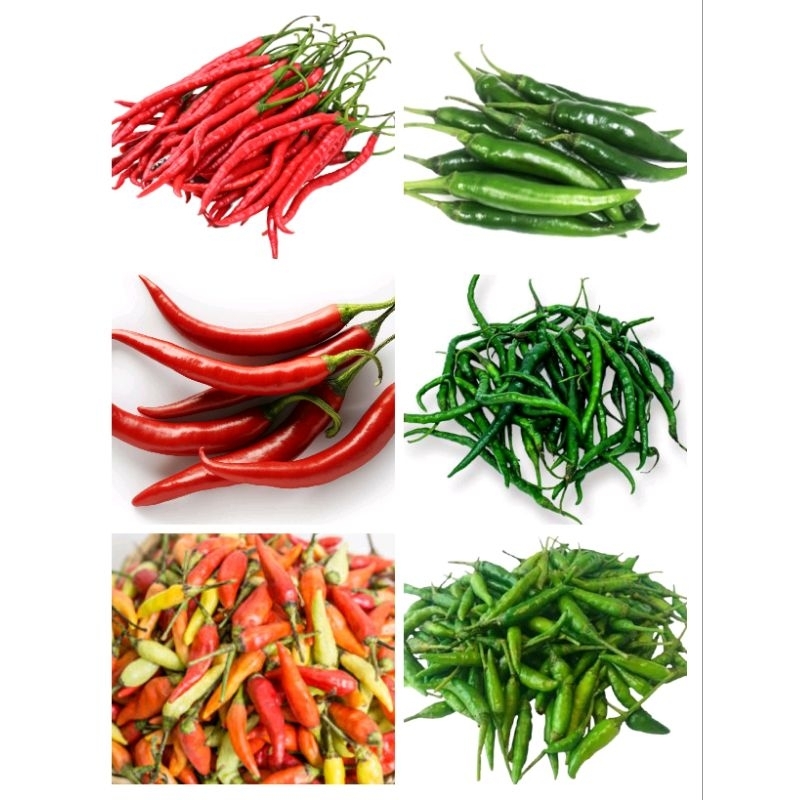 

aneka cabe/ cabe merah cabe hijau cabe kering