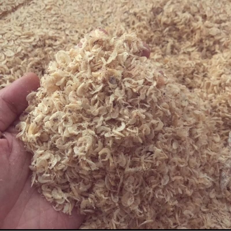 

Stok terbatas 1Kg Udang Asin Udang Rebon Asli Padang Kabupaten Pesisir Selatan