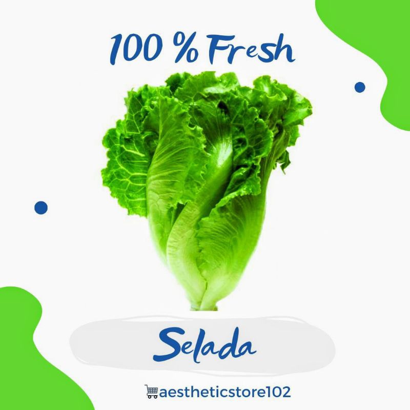 

Selada Keriting Hijau 500 Gram Fresh