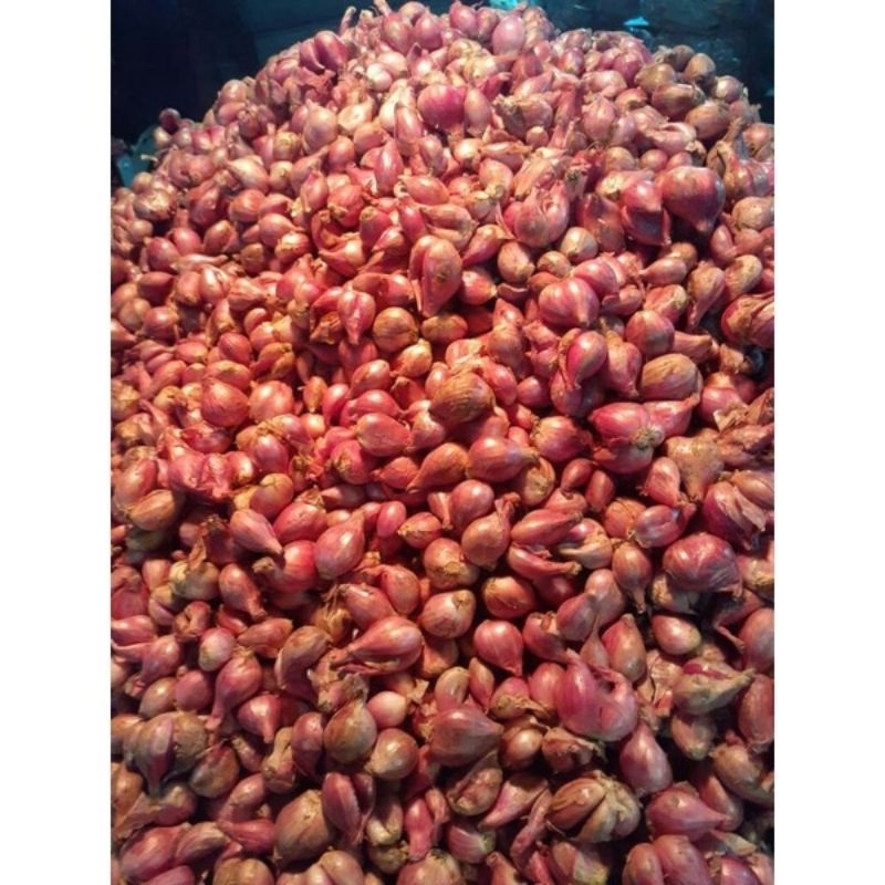 

Bawang merah BREBES ukuran sedang 1kg