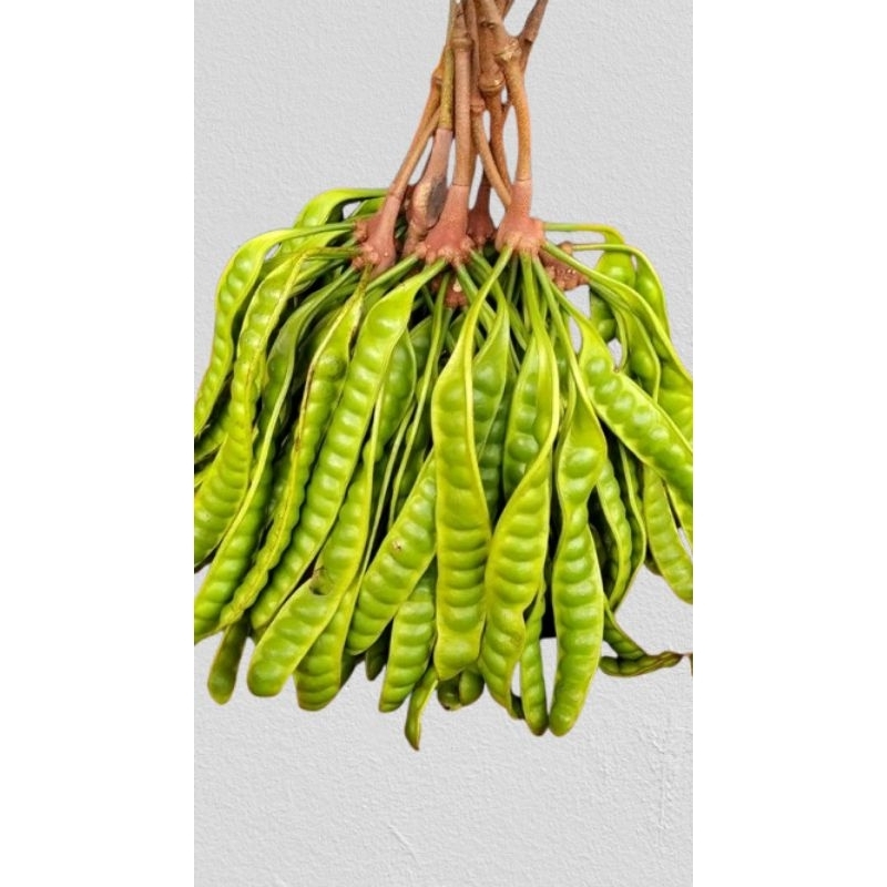 

2 PAPAN PETE PER PAPAN ISI 18 MATA