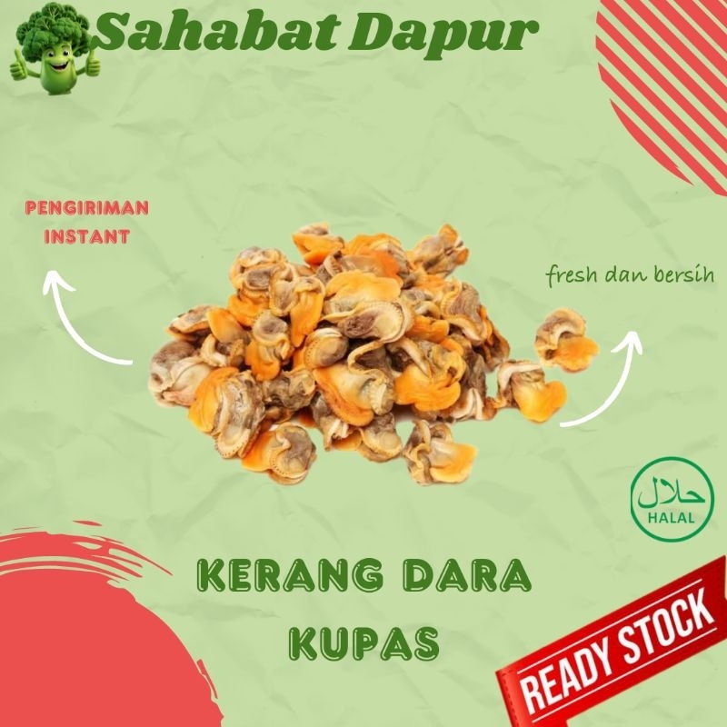 

kerang kupas fresh - Sayuran pasar - Sahabat dapur Delivery