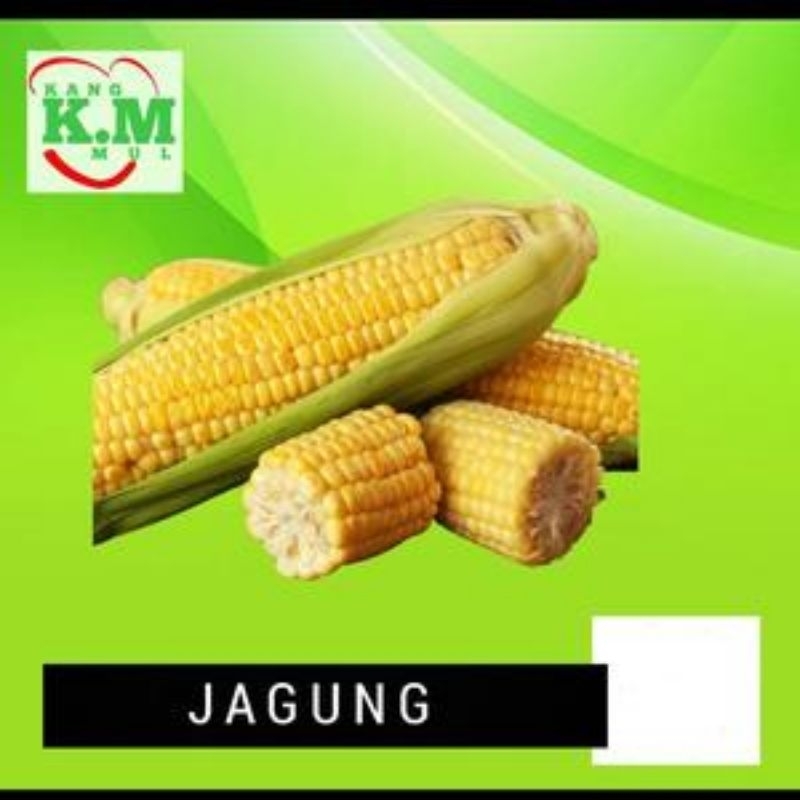 

SERBU SERBA 5 RIBU - JAGUNG MANIS