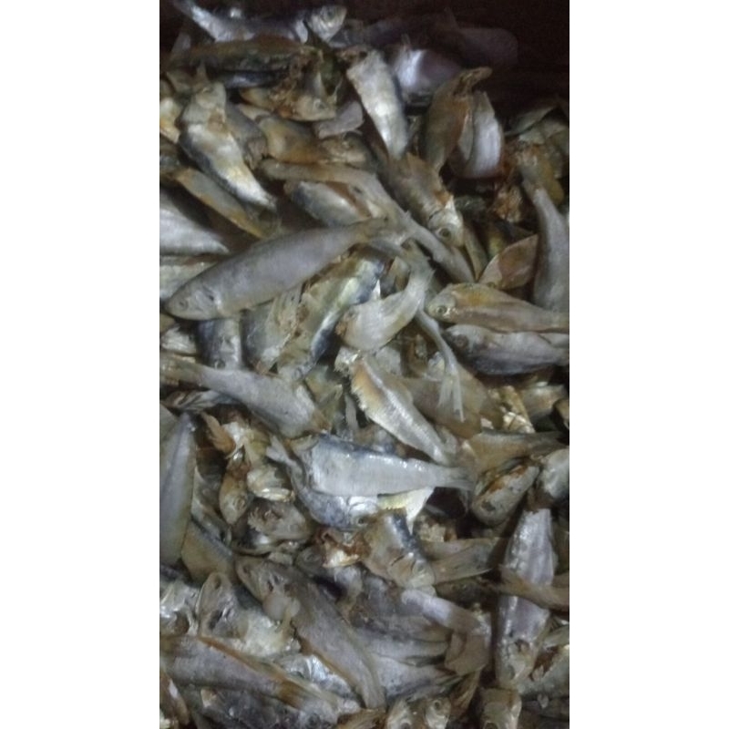 

IKAN ASIN CAMPURAN/RUNCAH 1 KG