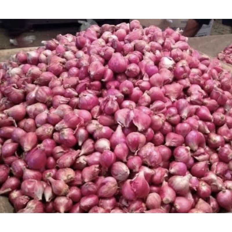 

bawang merah