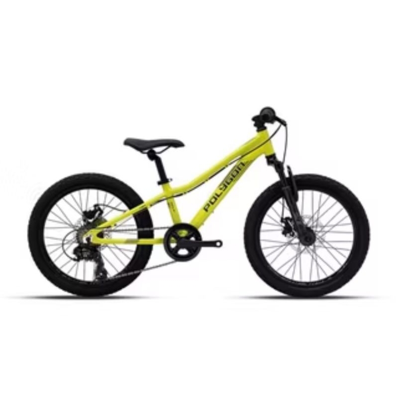 Sepeda Gunung Anak Polygon MTB 20 inch Relic