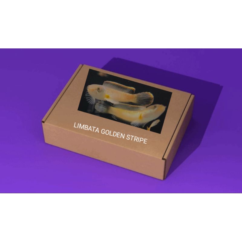 

Kardus Packing CHANA LIMBATA