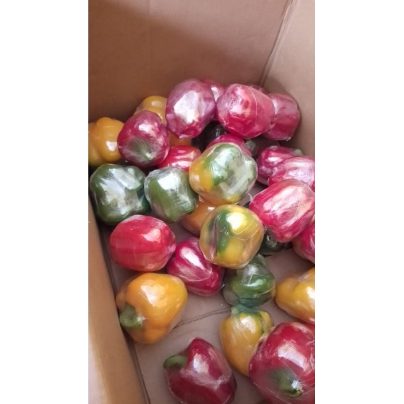 

paprika segar 1kg warna campur