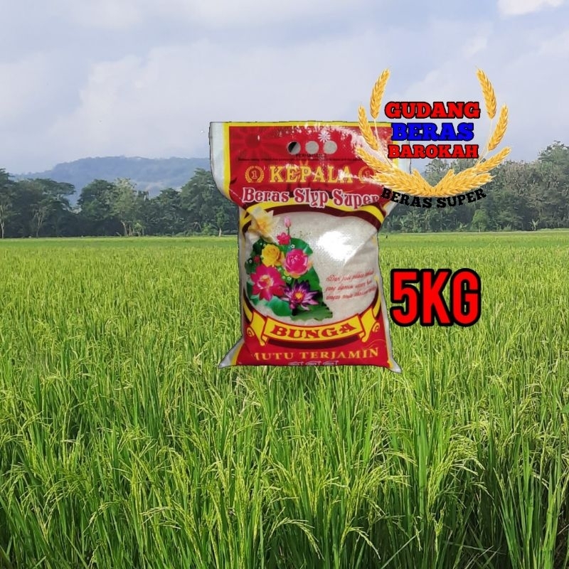 

BERAS PREMIUM CAP BUNGA KEPALA 5KG/10KG/20KG