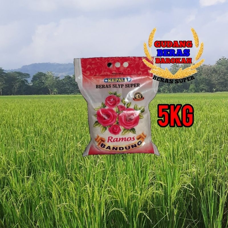 

BERAS PREMIUM RAMOS BANDUNG 5KG,10KG,20KG