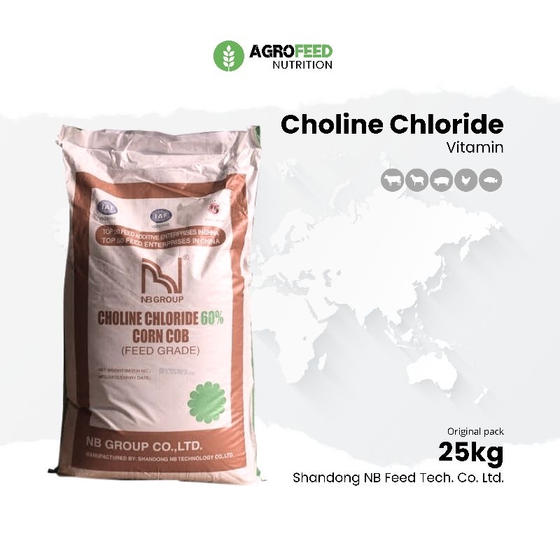 CHOLINE CHLORIDE 60% NB Shandong 25kg Suplemen Vitamin Klorida Kolin Premix Pakan Hewan Ternak Feed 