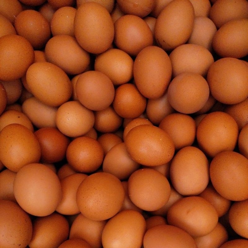 

Telur Ayam Negeri 1kg