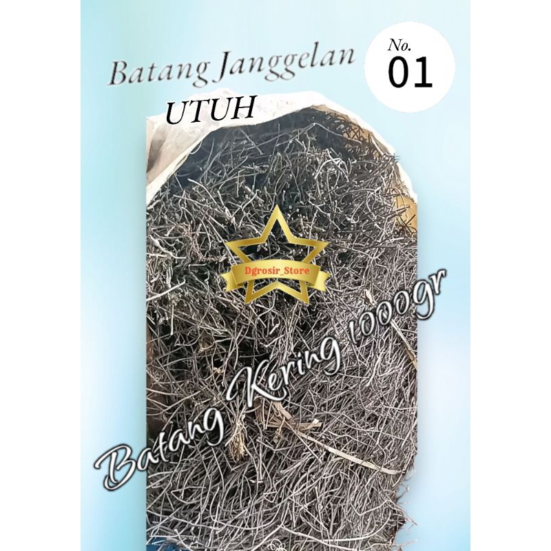 

Batang Janggelan Utuh kering 1000gr/1kg Fuul