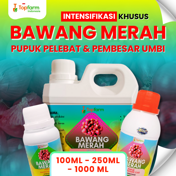 Pupuk Booster Umbi Bawang Merah / Pupuk Pembesar Umbi Bawang / Pupuk Pelebat Umbi Tanaman Bawang