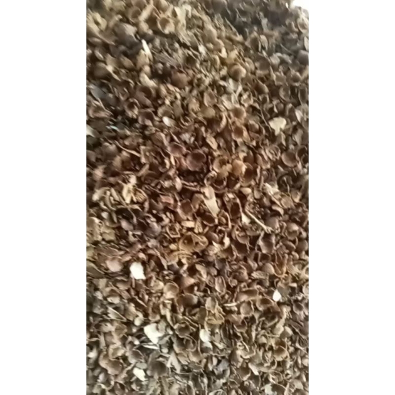 

angkup kelopak cengkeh 500g kering