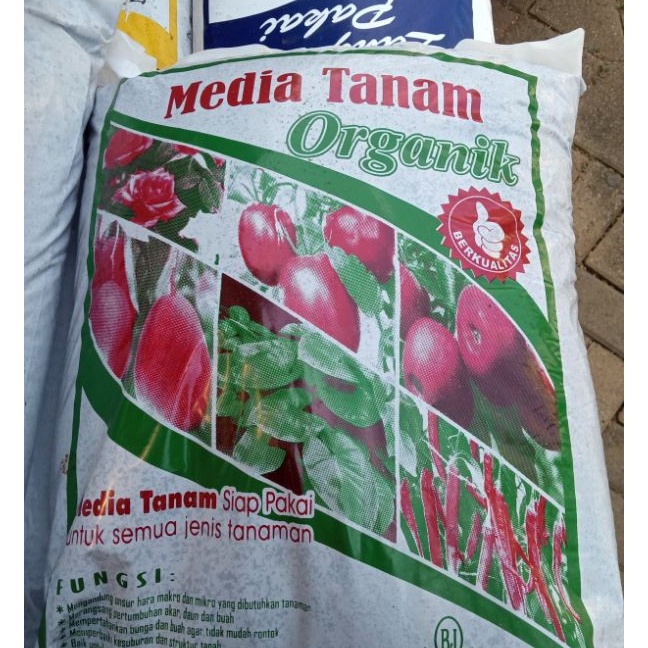 Beli Media Tanam Organik Siap Pakai